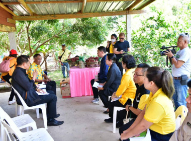 อธิบดีกรมส่งเสริมสหกรณ์ ลงพื้นที่เยี่ยมชมแปลงลิ้นจี่ ... พารามิเตอร์รูปภาพ 17